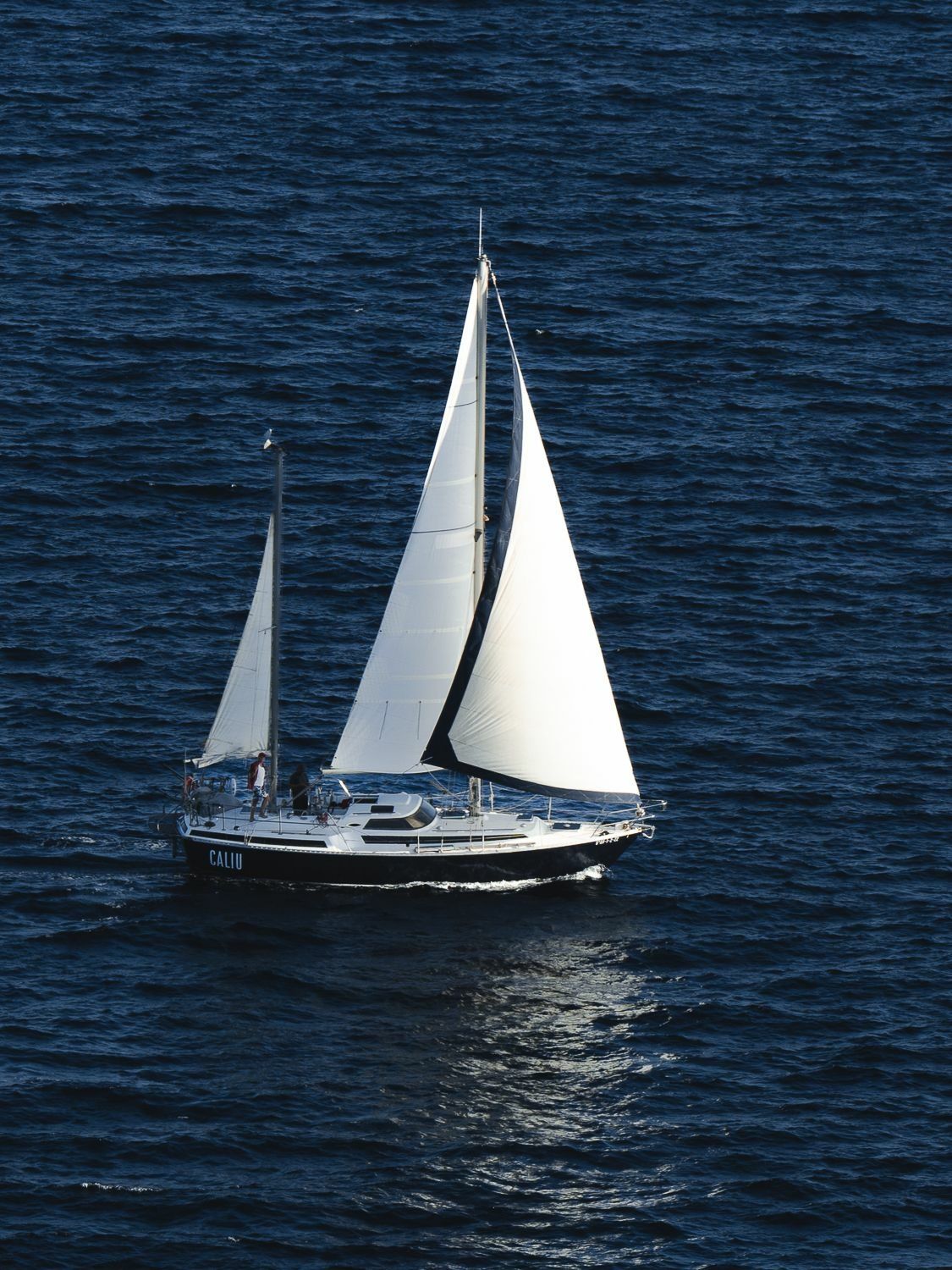 Beneteau 37 | Caliu