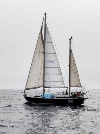 Beneteau 37 | Caliu