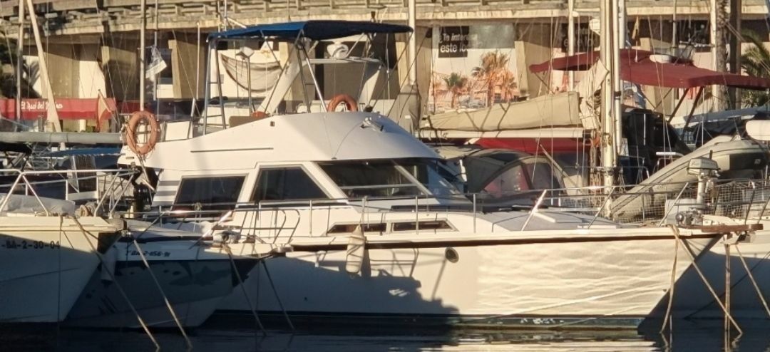 Guy Couach 1400 Fly | Violeta