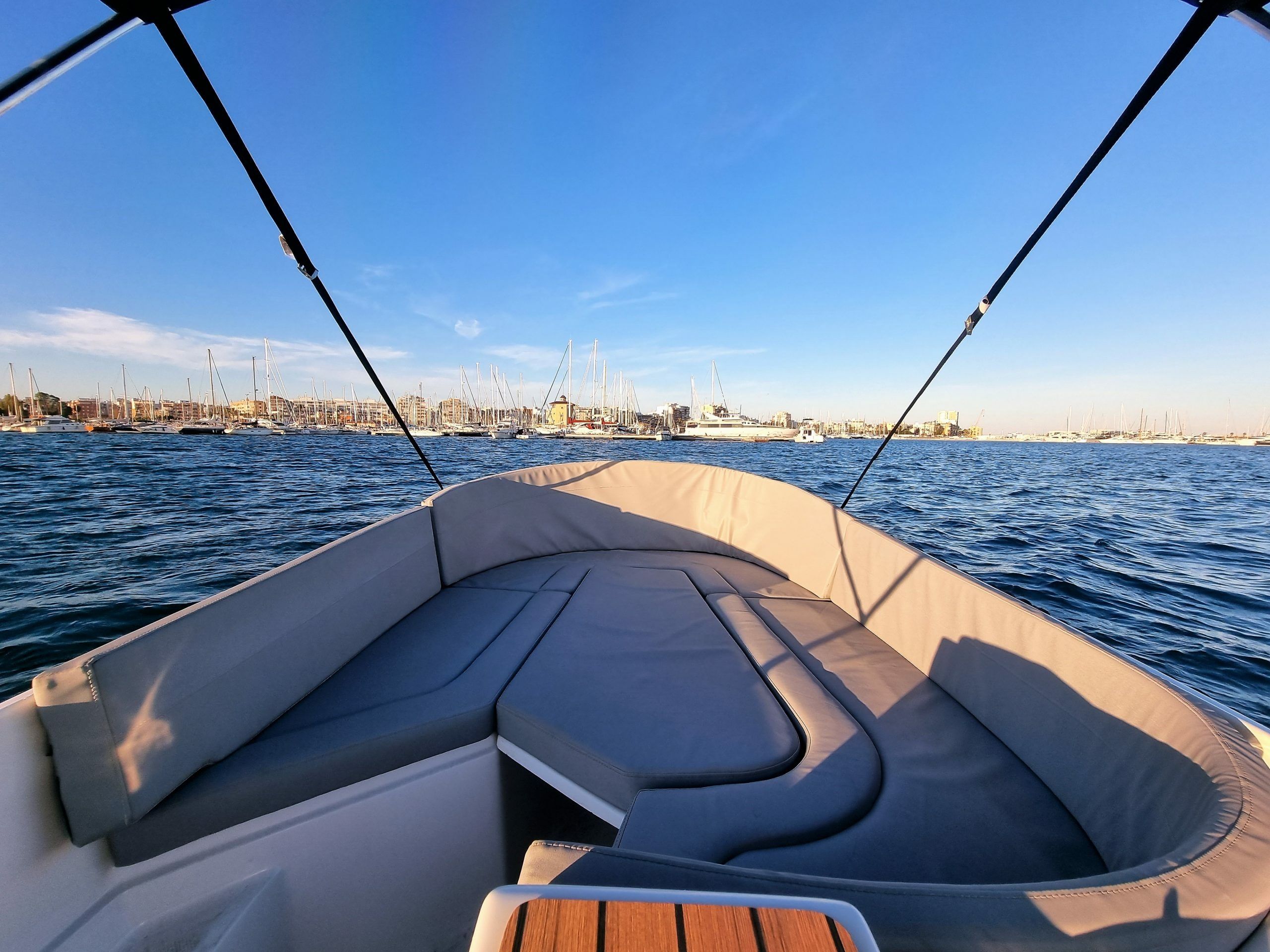 Marion 500 | Libertad