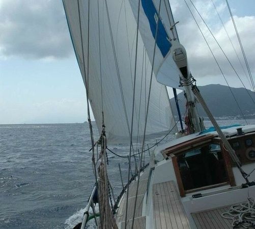 Adria Rimini 51 | Le Gitan