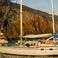 Adria Rimini 51 | Le Gitan