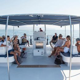 Catmarine 39 | Euphoria