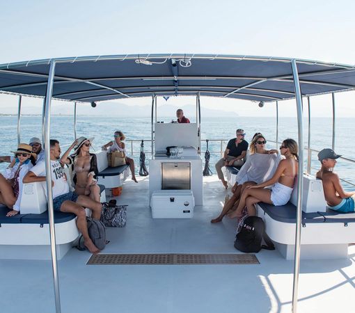 Catmarine 39 | Euphoria