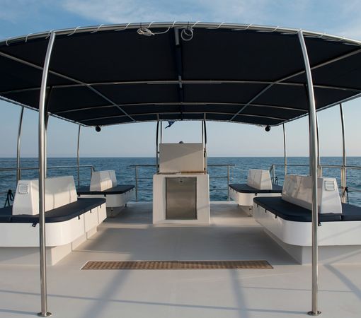 Catmarine 39 | Euphoria