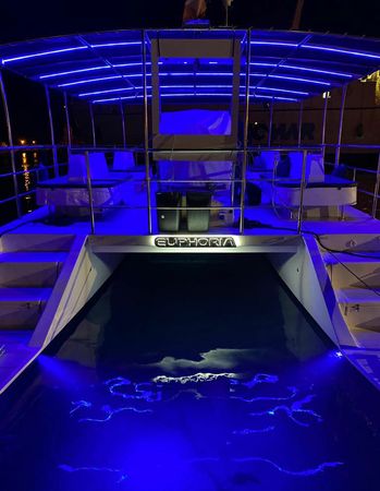 Catmarine 39 | Euphoria