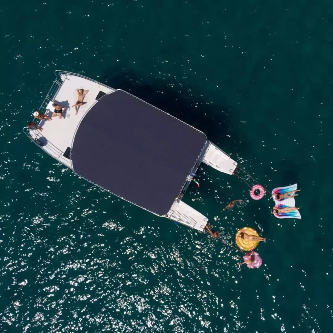 Catmarine 39 | Euphoria