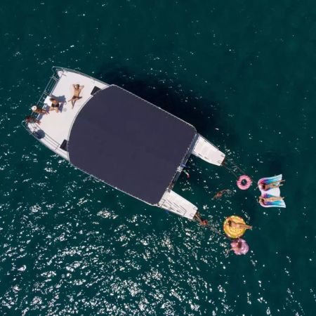 Catmarine 39 | Euphoria