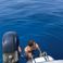 Plastimare Dyuk 560 | Lella