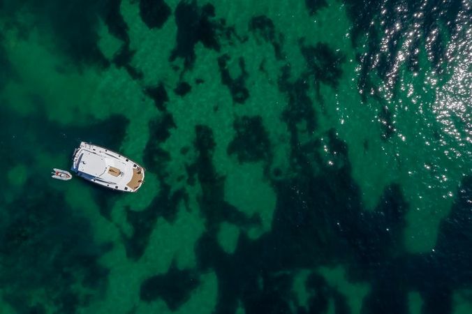 Leopard 51 | Morningstar 2