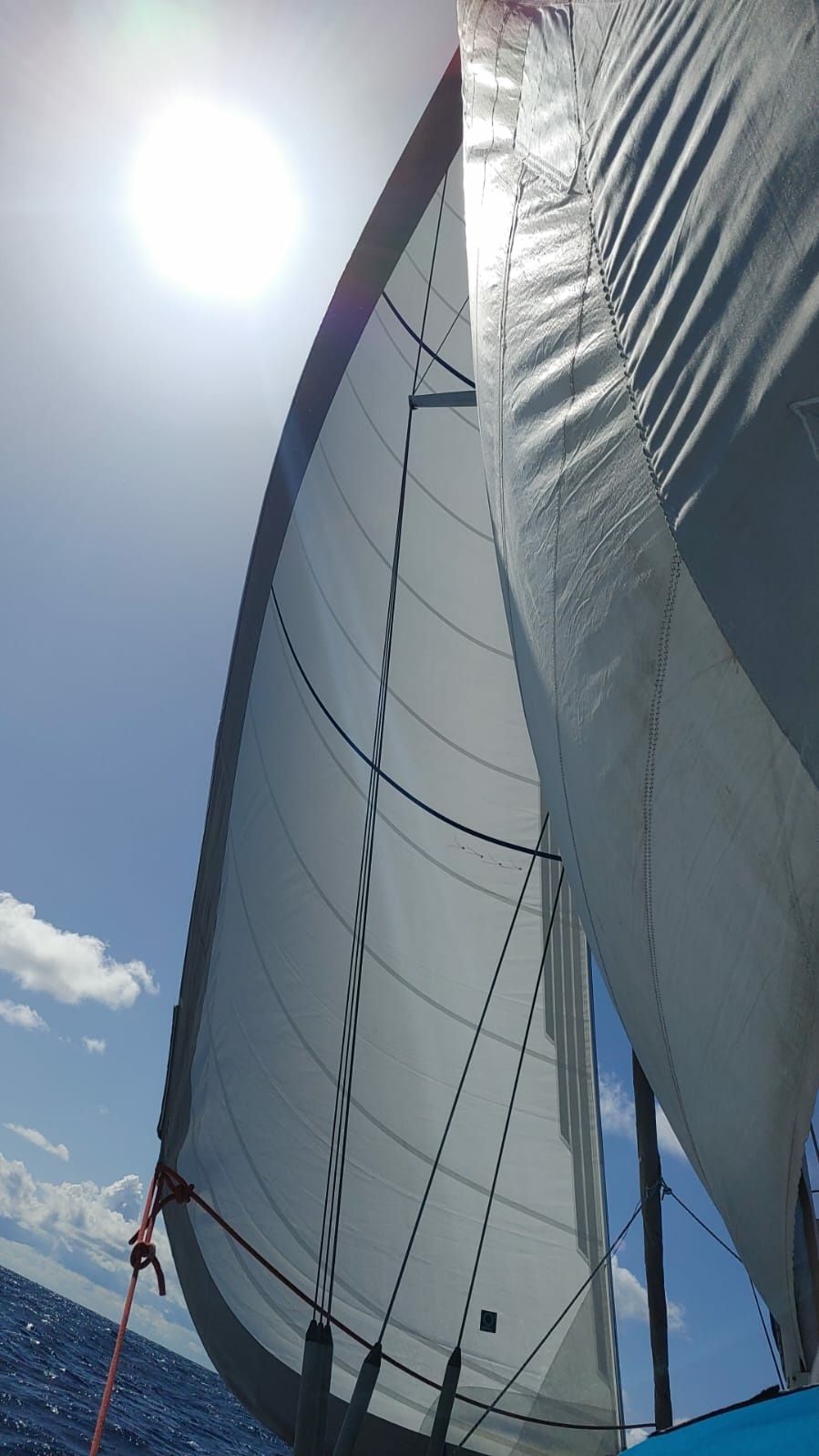 Atlantic 61 | Coconaut