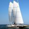 Wharram Tiki 38 | Festina Lente