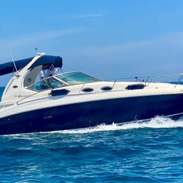 Sea Ray 355 | JM10