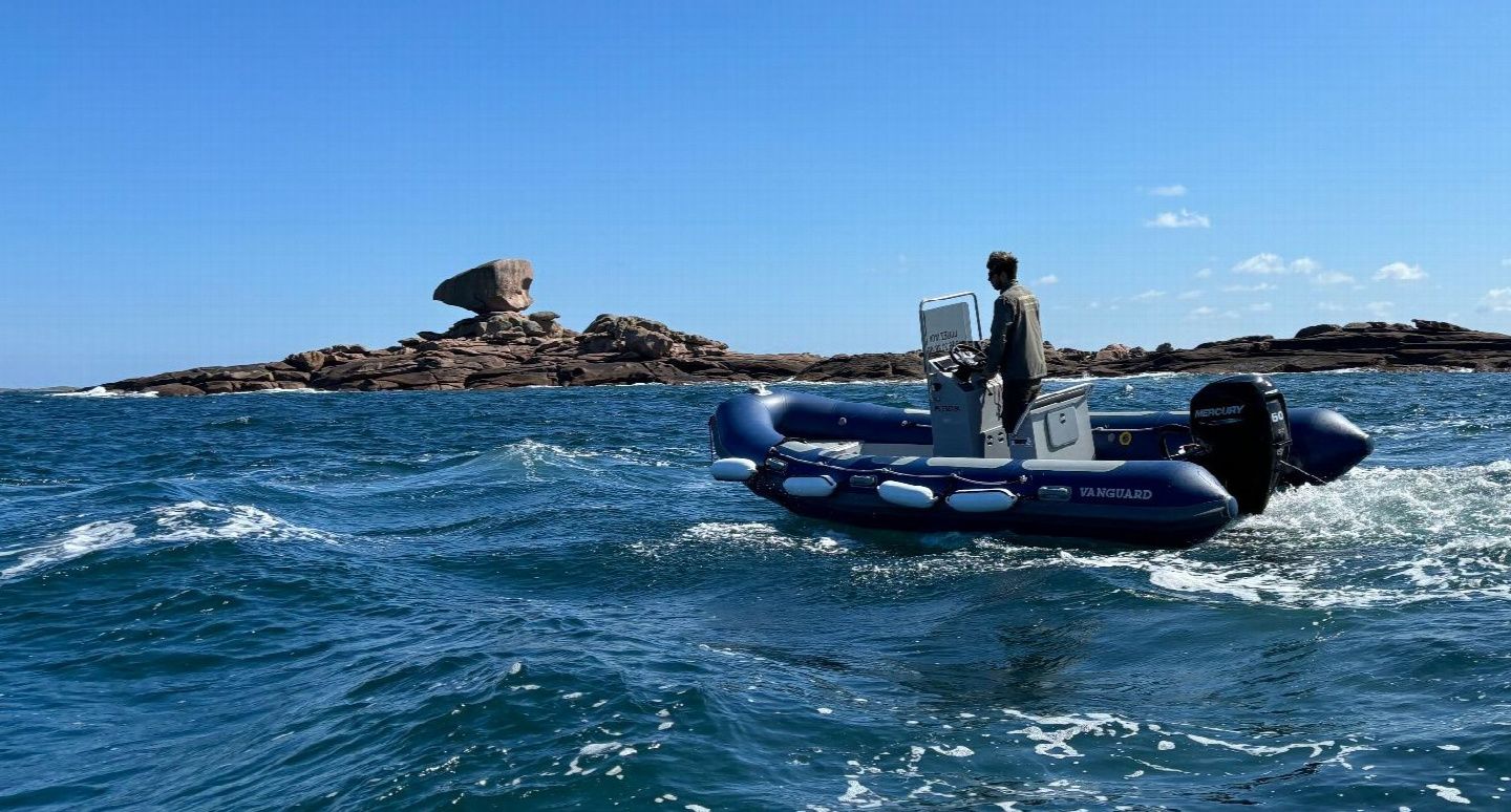 Vanguard 560 | Bigorneau