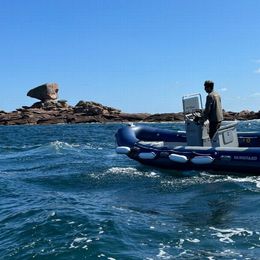 Vanguard 560 | Bigorneau