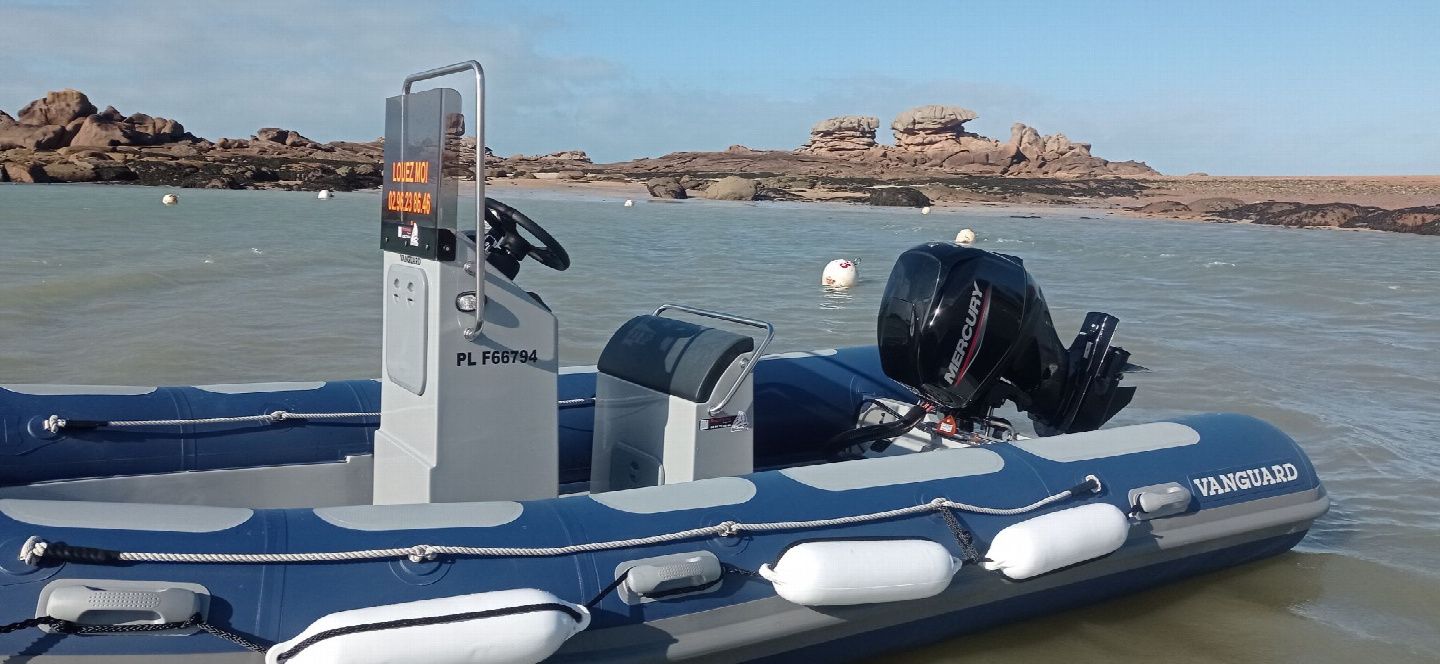 Vanguard 560 | Bigorneau