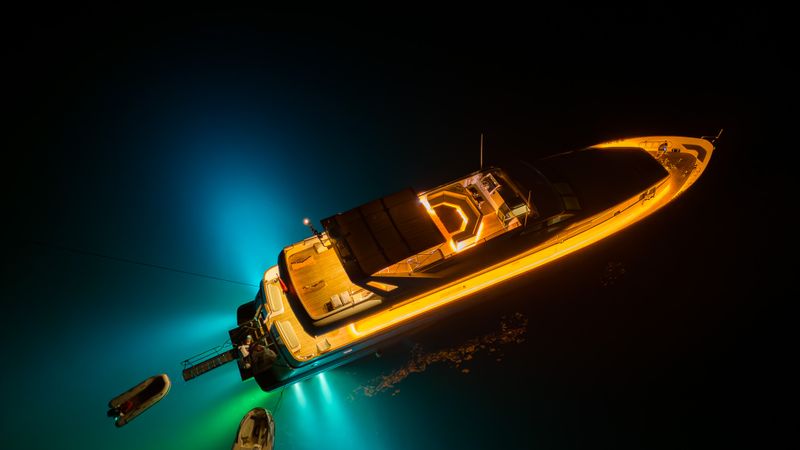 Custom Built 98 | Blues