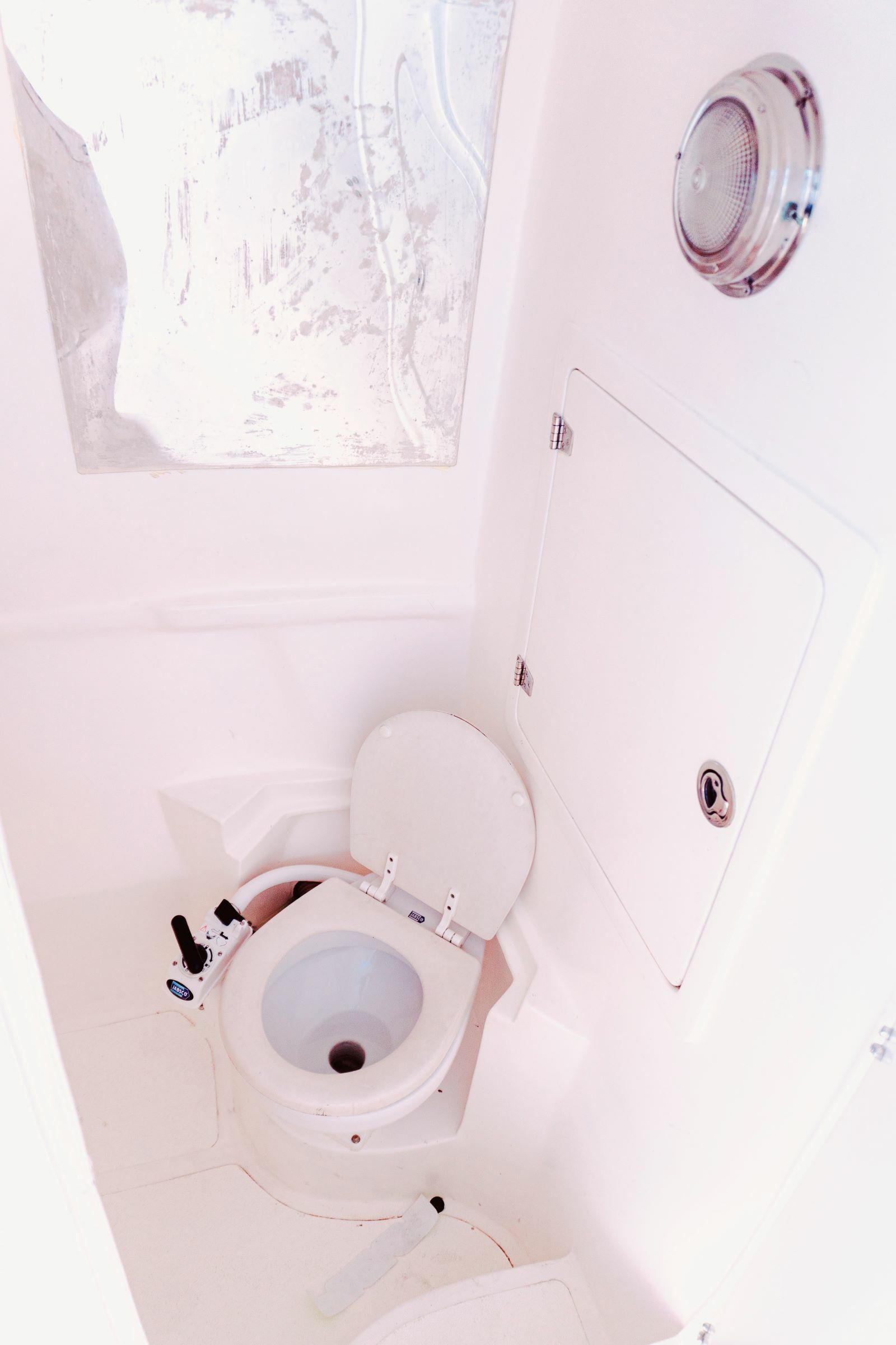 Singlar 290 Plus | La realeza