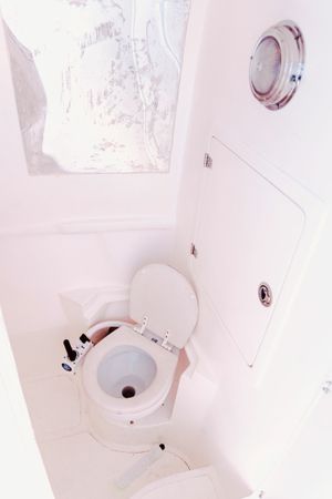 Singlar 290 Plus | La realeza