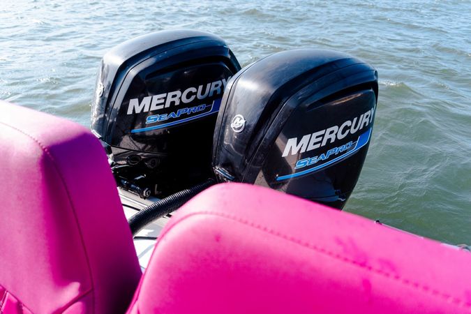 Singlar 290 Plus | La realeza