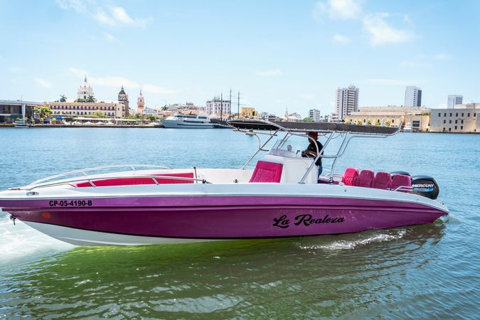 Singlar 290 Plus | La realeza