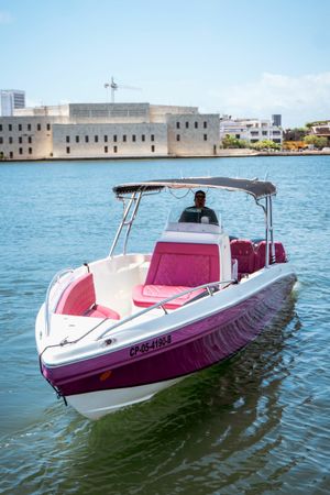 Singlar 290 Plus | La realeza