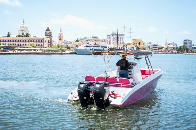 Singlar 290 Plus | La realeza