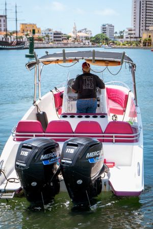 Singlar 290 Plus | La realeza