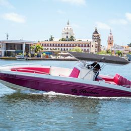 Singlar 290 Plus | La realeza