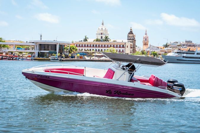 Singlar 290 Plus | La realeza