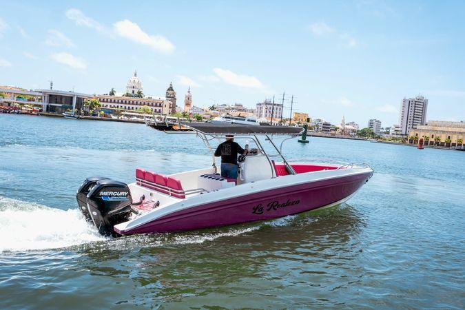 Singlar 290 Plus | La realeza