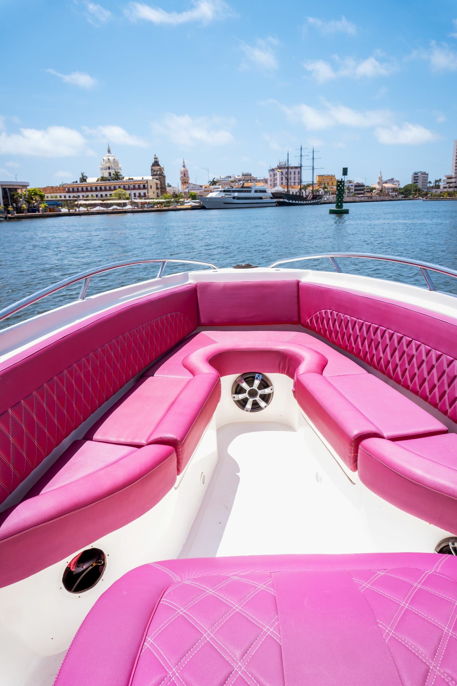 Singlar 290 Plus | La realeza