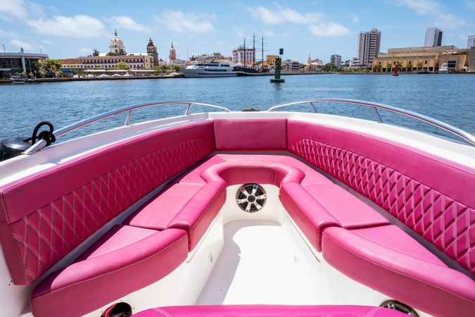 Singlar 290 Plus | La realeza