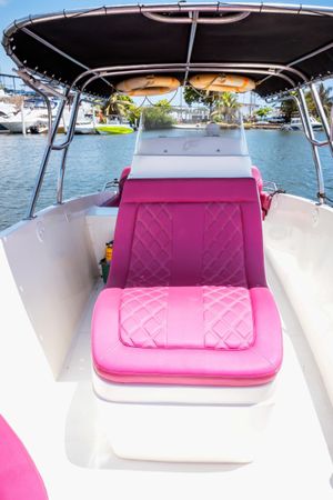 Singlar 290 Plus | La realeza