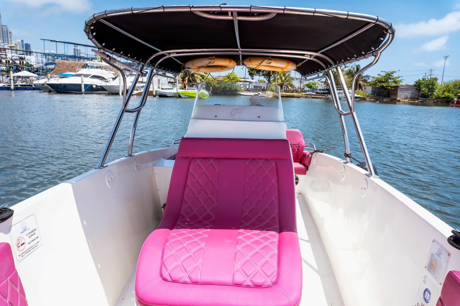 Singlar 290 Plus | La realeza