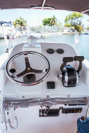 Singlar 290 Plus | La realeza