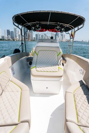 Singlar 290 Plus | La realeza 2