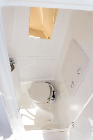 Singlar 290 Plus | La realeza 2