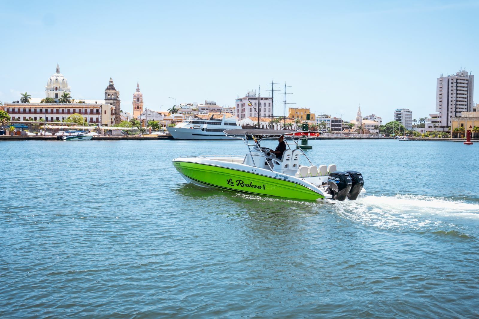 Singlar 290 Plus | La realeza 2