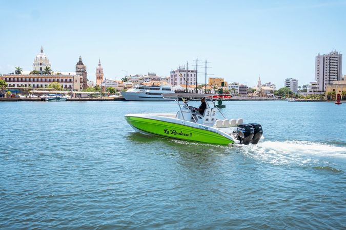 Singlar 290 Plus | La realeza 2