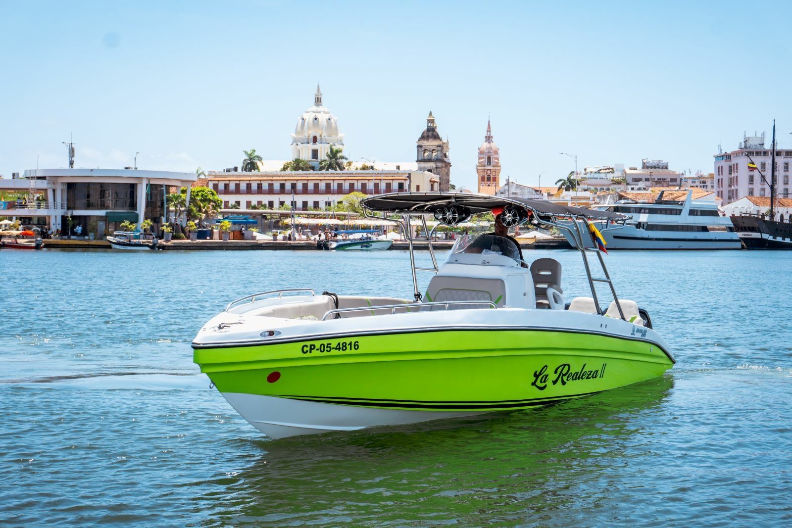 Singlar 290 Plus | La realeza 2