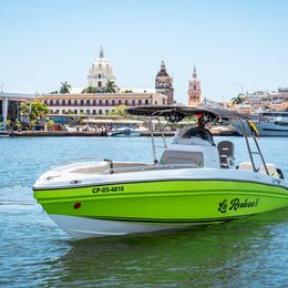 Singlar 290 Plus | La realeza 2