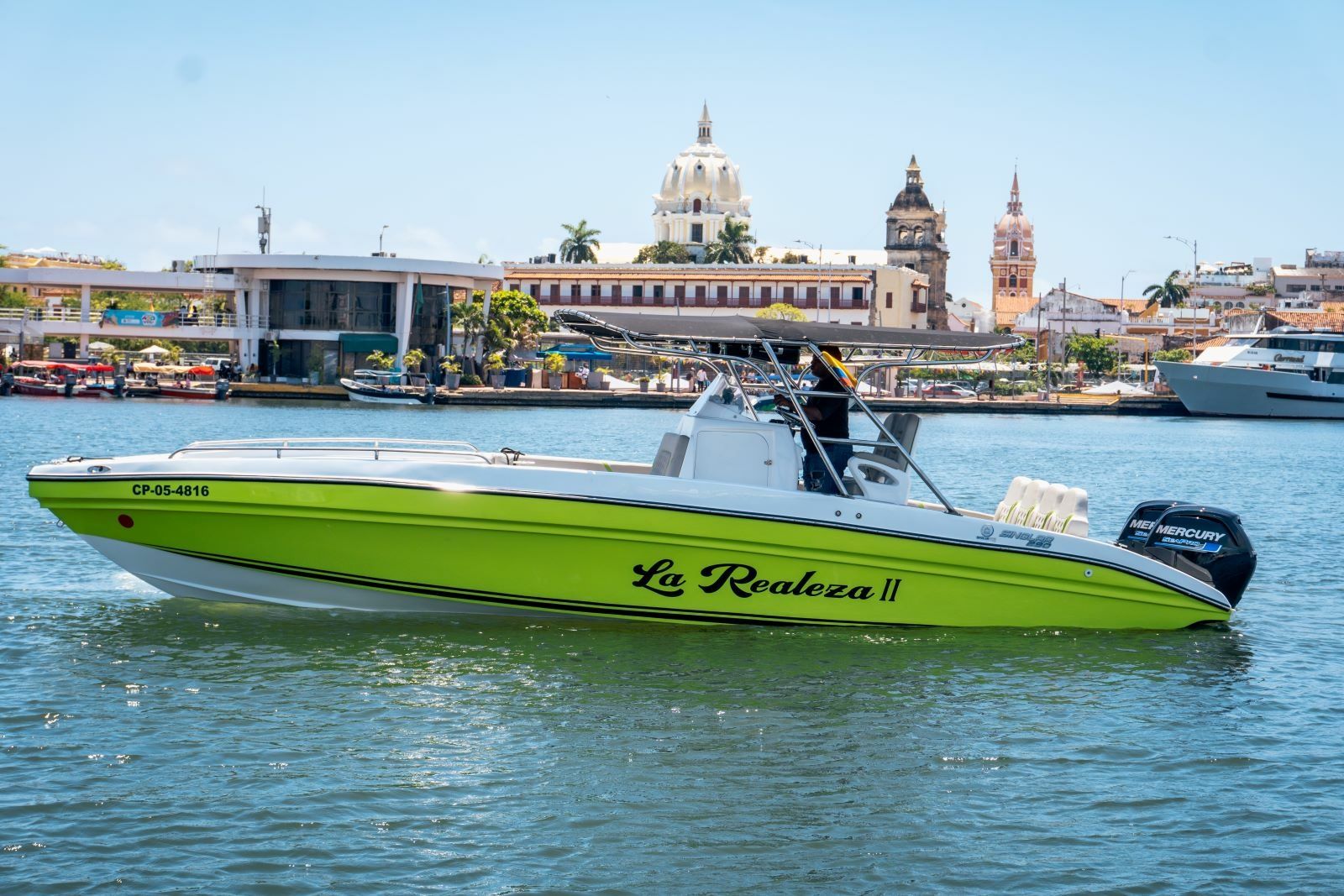 Singlar 290 Plus | La realeza 2