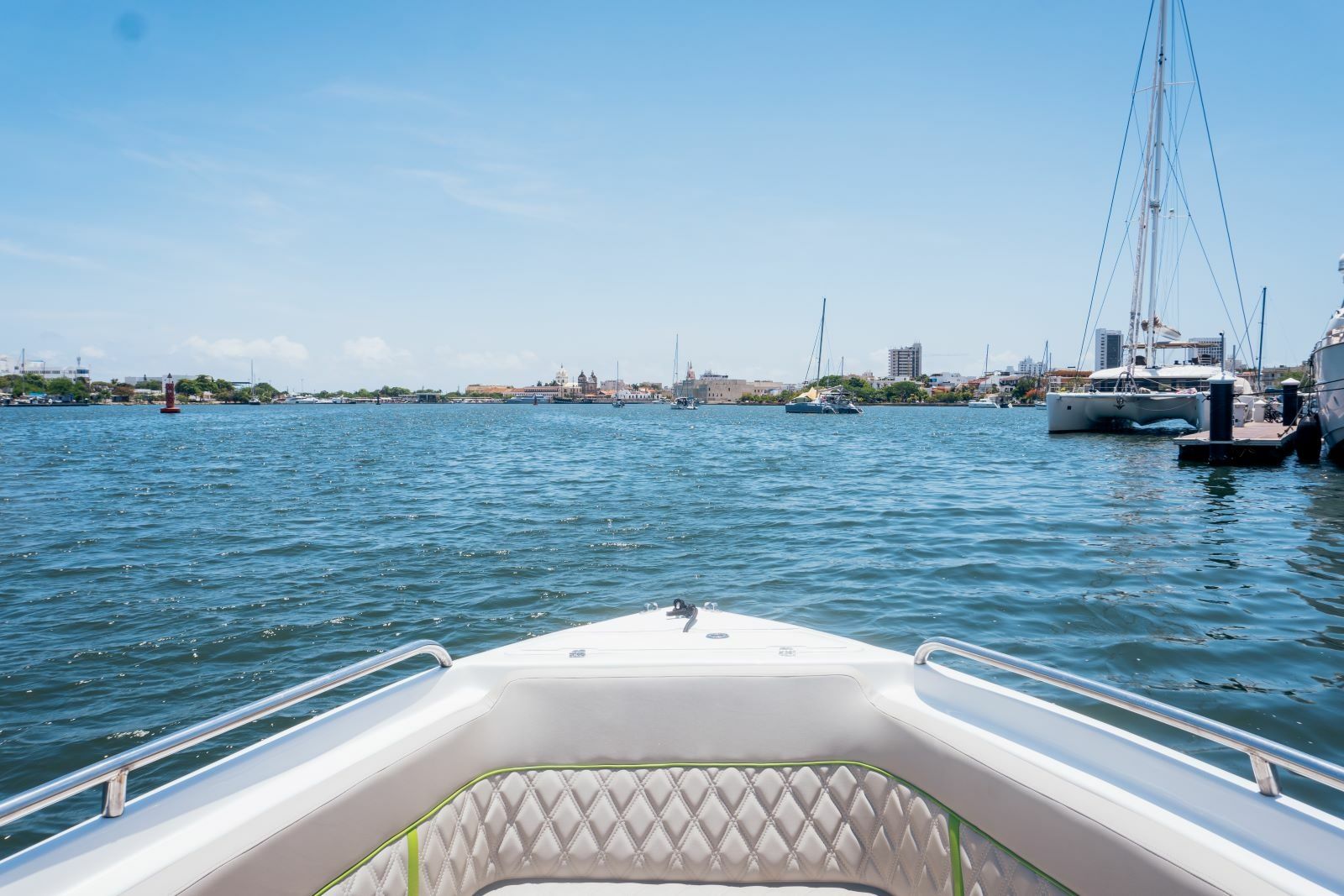 Singlar 290 Plus | La realeza 2