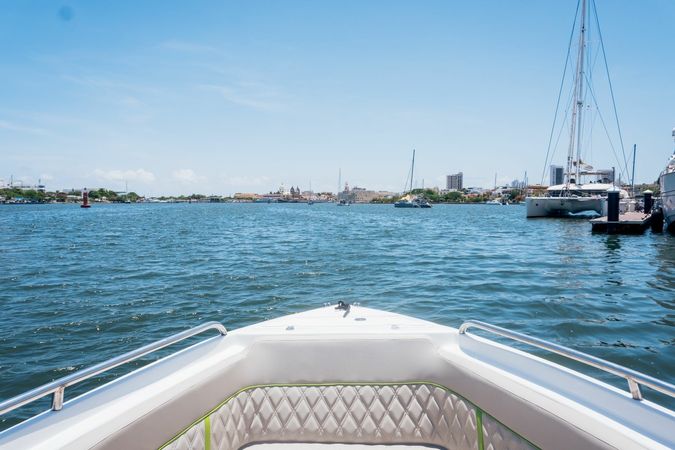 Singlar 290 Plus | La realeza 2