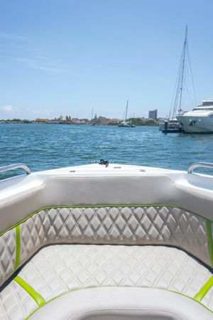 Singlar 290 Plus | La realeza 2