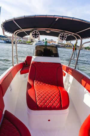 Singlar 290 Plus | La realeza 3