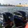 Singlar 290 Plus | La realeza 3