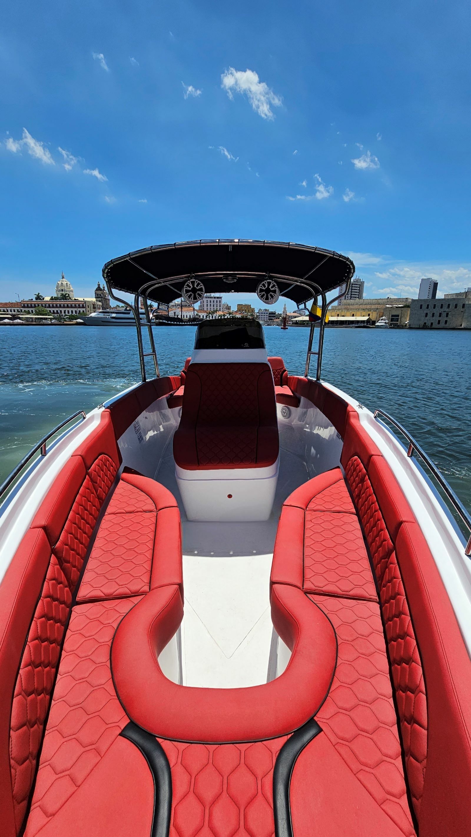 Singlar 290 Plus | La realeza 3