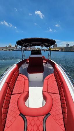 Singlar 290 Plus | La realeza 3